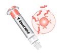 T-2 - imunoafinitné kolónky pre HPLC (balenie 25 ks)